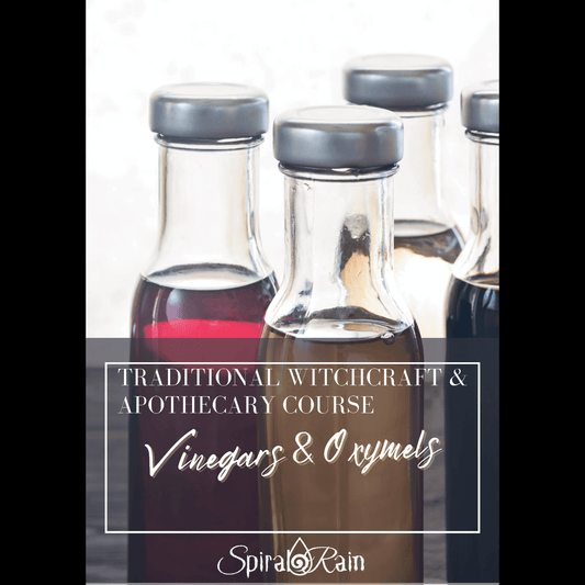 Vinaigres et oxymels : alchimie liquide pour la santé, la magie et l'âme