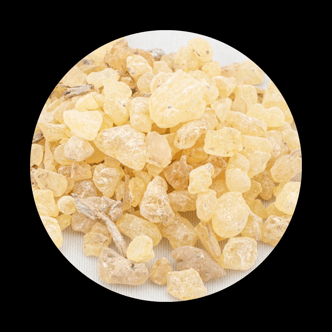 Copal Resin