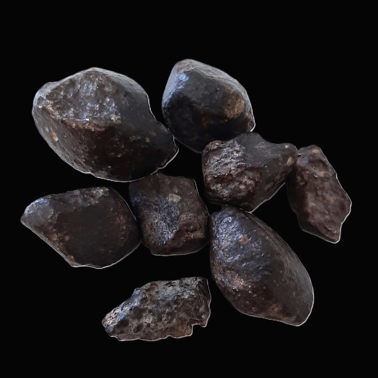 NWA 869 Meteorite