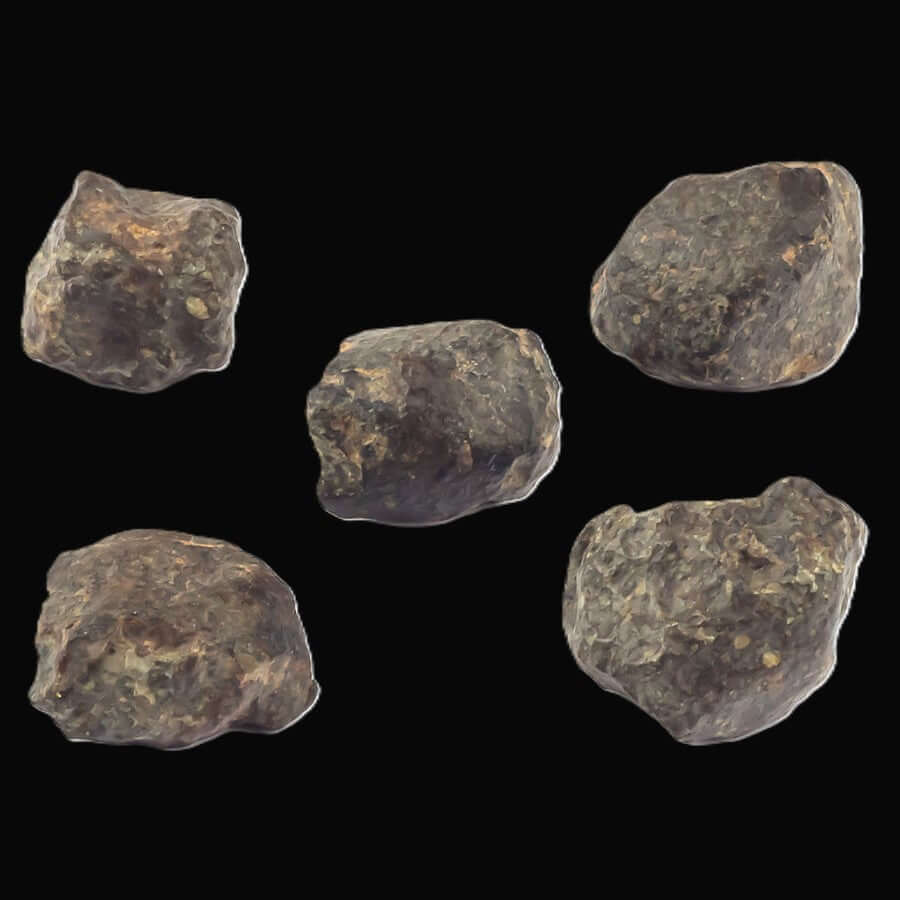 NWA 869 Meteorite