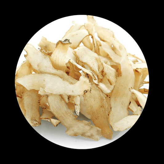 Solomon's Seal Root