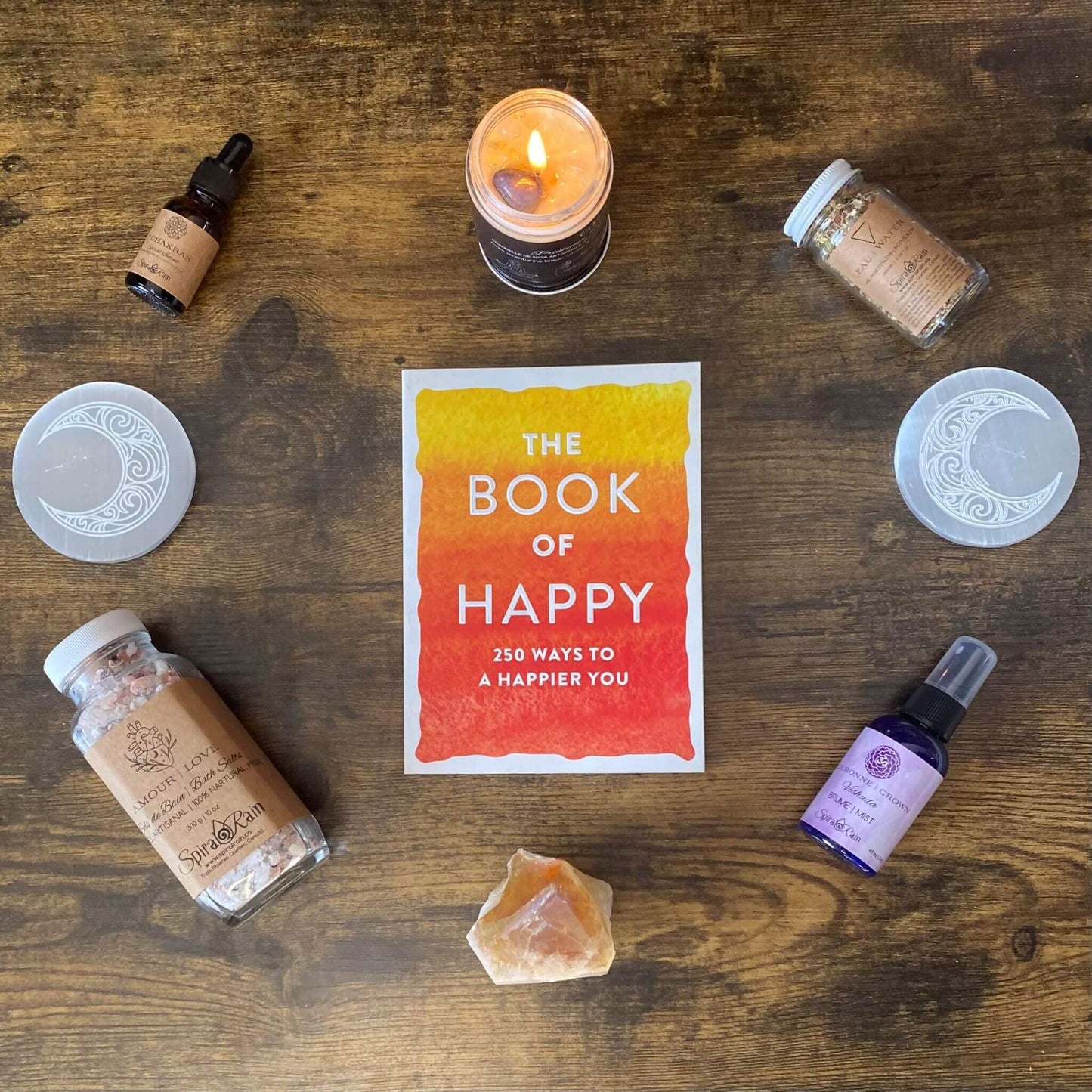 Le livre du bonheur : 250 façons d'être plus heureux
