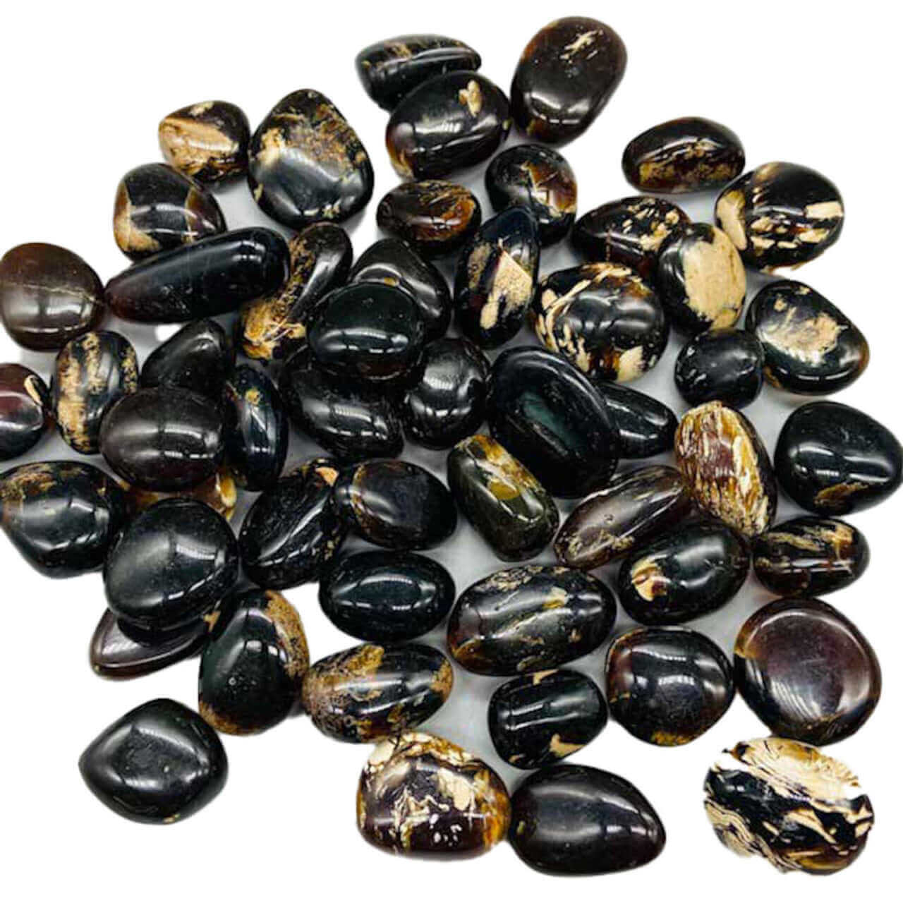 Amber Zebra at $6 only from Spiral Rain