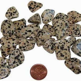 Jasper Dalmatian Tumbled small at $2 only from Spiral Rain